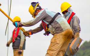 WEBINAR: Prolonging Working Life among Senior Workers 1
